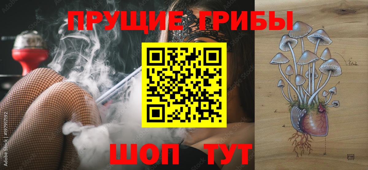 Псилоцибиновые грибы GOLDEN TEACHER Набережные Челны