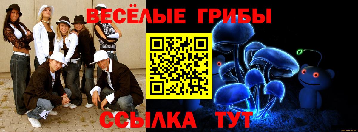 Набережные Челны  Псилоцибиновые грибы Cubensis  хочу   Вход с VPN 